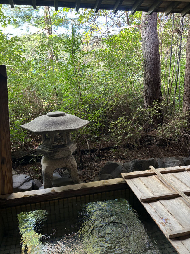 湖が近いのですが、草木が生い茂り、眺望はゼロです。