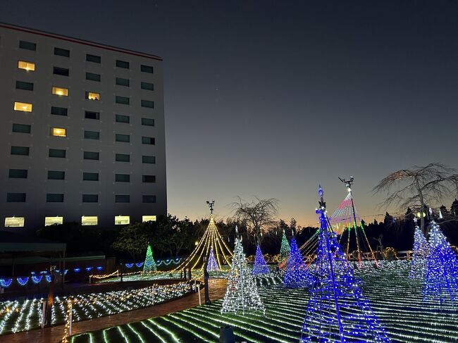 今回成田発なので前泊<br />日航成田泊です<br />この時期イルミネーションしてます