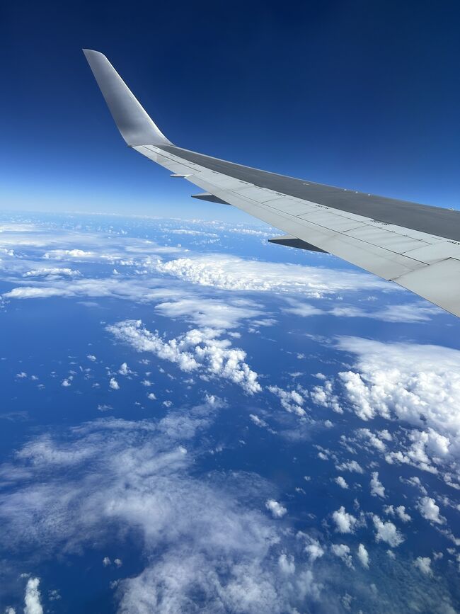 何回乗っても雲の上大好き