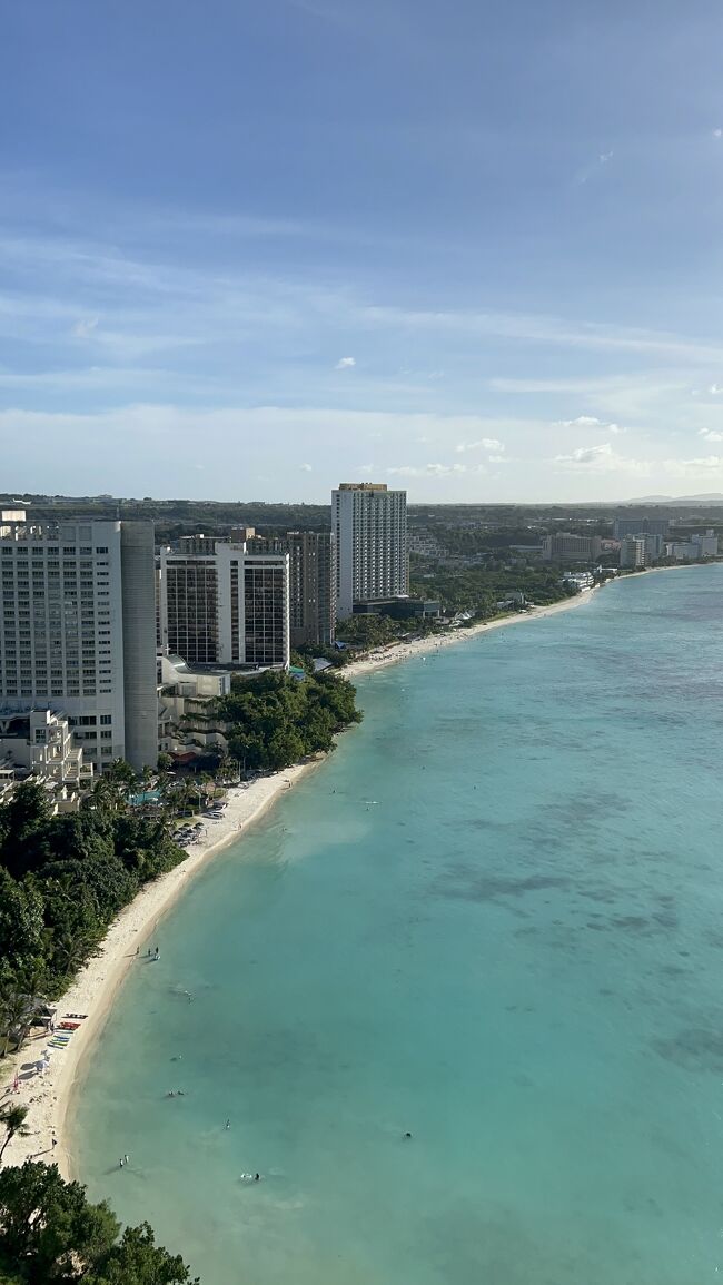 24階からの景色は最高