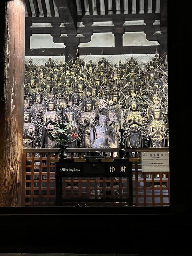 ツンと押したらドミノ倒しになる、不遜な想像をしてしまう…