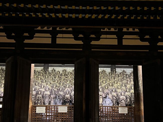 おー……… 整然と並ぶ様が…<br />（言葉になりません）