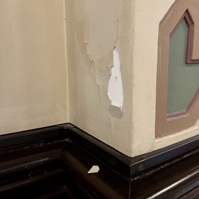 歴史ある建物なので致し方なし