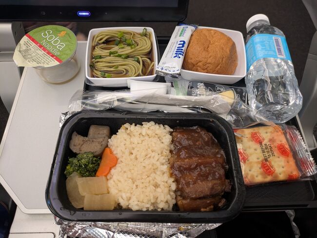 関空行きの機内食なかなか美味しいです♪<br />体調不良で前半寝まくりしでたが、後半少し観光できて良かったです(^^)<br />お付き合いいただいた皆様ありがとうございます<br /><br />(終わり)