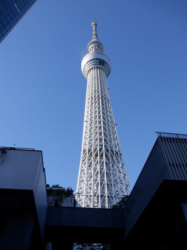 レイトチェックアウト13：00にできたので、午前中に電車で観光に行きました。<br /><br />スカイツリー<br />大人　休日2600円　小学生1000円　6歳以下無料