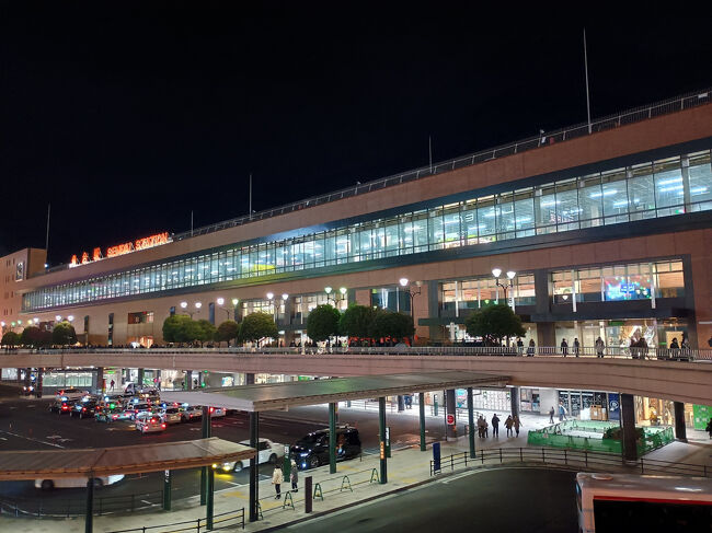 仙台駅にやってきた。画像のタイムスタンプは17:23....冬至が近いためかもうすっかり夜という感じ。