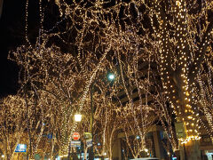 2011年の大震災でLED電球を保管していた倉庫が津波で流され、55万個全てが使用不能になってしまう惨事があった。その後も予算不足などもあり年々規模が縮小されていく。

おかげでエリアが狭くなった分、人が集中してきて混雑度が増しているようだ。

また近くの錦町公園ではクリスマスマーケットが行われているので人の行き来がかなりあるようだ。

クリスマスマーケットへ行ってもいいかな？と一瞬頭に浮かんだけれど、今日は「特定日」とあって入場料がかかるので止めておこう。