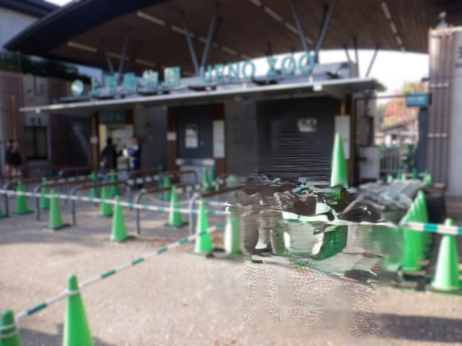 上野動物園<br />大人　￥600　　6年生まで無料　ありがたいお値段<br /><br />近くの駐車場が満車で探すのに苦労しました。<br />平日だからと気を抜いちゃダメですね！