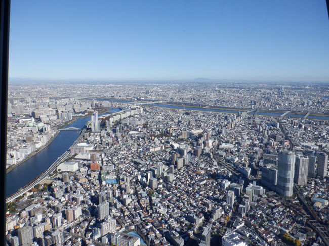 晴れててよく見えました。