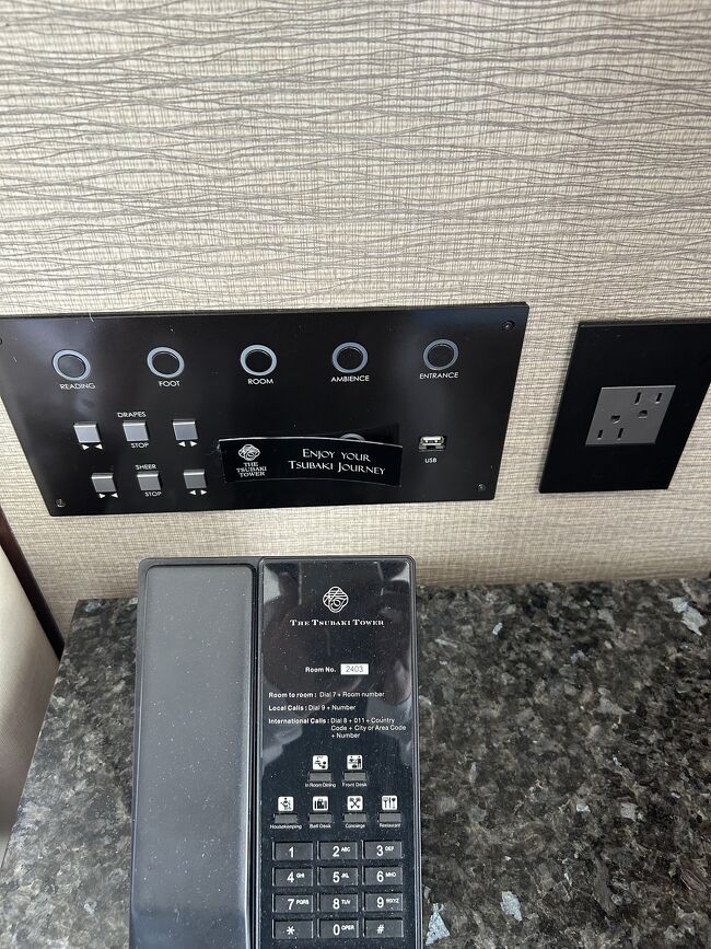 追加ですがコレがベットサイドのコンセント<br />日本ので使えます<br />カーテンの開閉は左のボタンでできます