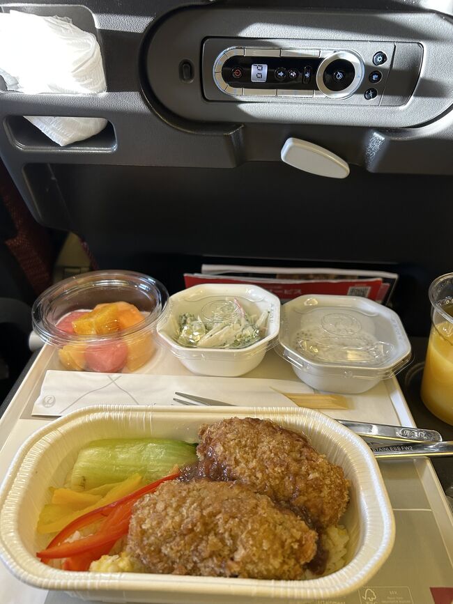 機内食はボリュームたっぷりのチキンカツみたいなのがのったご飯<br />サラダとフルーツは美味しかった