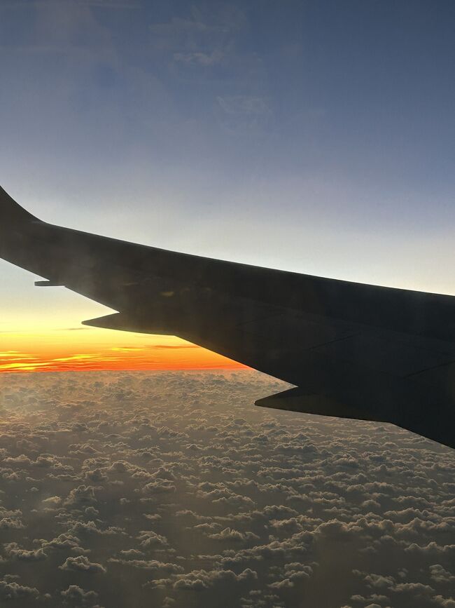 夕方便なのでたっぷ3泊4日フルで楽しめました。個人旅行のいいところです<br />自分の好きな飛行機便と座席が選べる<br />好きな宿とグレードが選べる<br />意外に安く旅行出来る<br />無事成田エクスプレスとロマンカーでその日のうちに帰宅できました^_^<br />結論　グアムはさびれてない！<br />穴場で素敵なリゾートです、なので再び行きたい場所です