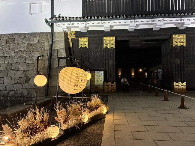 二条城は以前見学したことはありますが、夜のライトアップは初めてです。