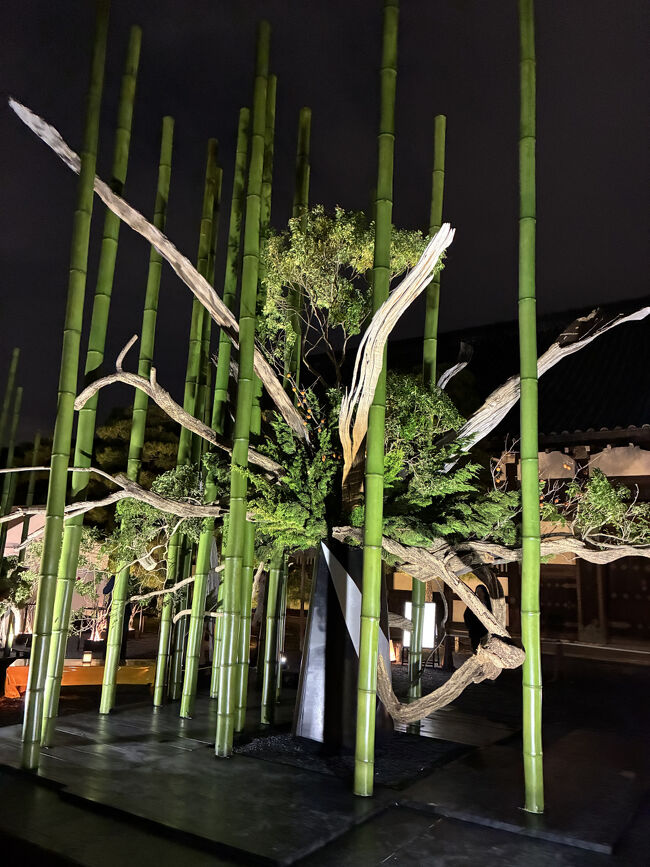 台所前庭「観月の華庭」<br />台所前庭を彩るのは、池坊のいけばな。月を仰ぎながら花に囲まれる空間で、五感に響く特別な観月体験をお届けします。