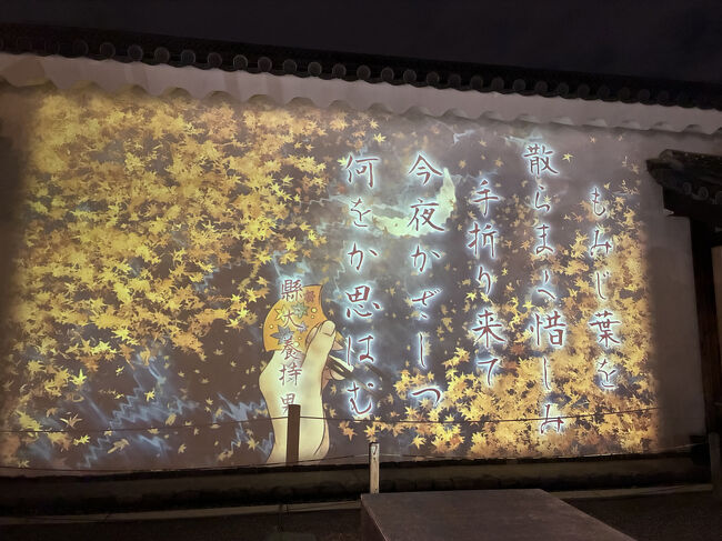 台所前庭「月影に出逢うやまとうた」<br />直感で惹かれた情景カードを選び、スキャンすると、その景色と響き合う和歌が映し出されます。<br /><br />これが私の選んだ情景カードです。