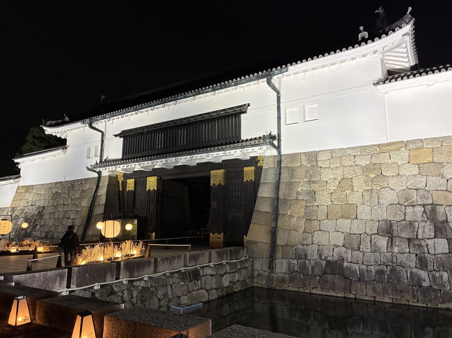 いや～、とてもきれいで見ごたえありました。