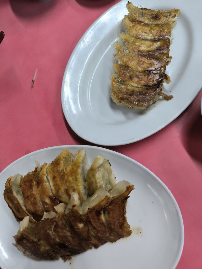 こちらも名物の餃子と熟成肉の餃子