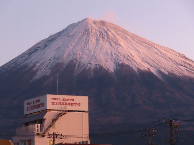 まだ薄暗いけれど、がんばって最望遠付近でも撮りました。