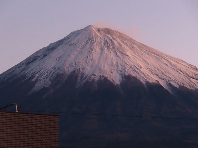 ほれぼれします。