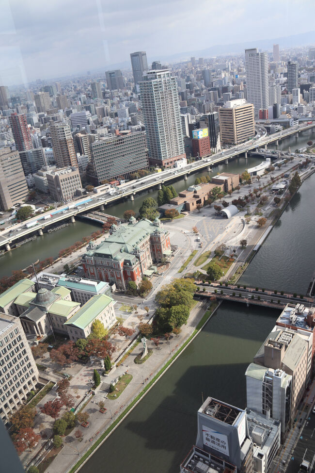 中之島を見下ろします。<br />レンガ造りの建物は図書館と中央公会堂です。