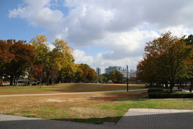 バラ園を抜けると広々とした芝生広場がありました。<br />平日だからが空いていました。