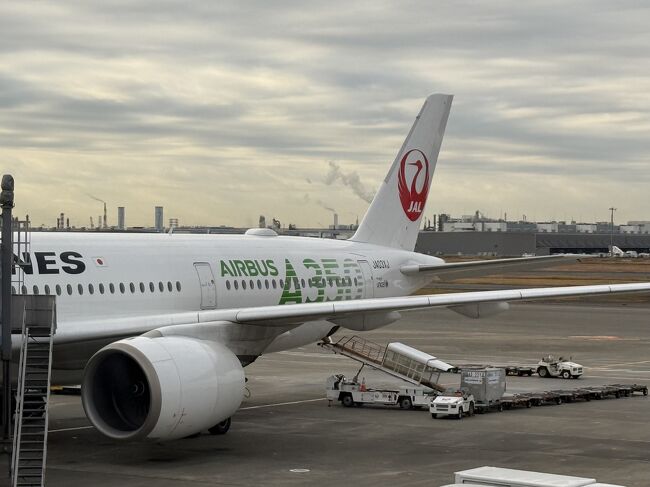 なんと359初号機に搭乗です。<br />心配性としては10月にＮＨＫの１００カメで放送された、<br />ノーショー事件が思い出されます。<br />搭乗者が荷物をあずけたが、何らかの理由で現れず。<br />航空法で搭乗者に荷物を返す規定で、<br />カーゴからその人の荷物を探し出すという、<br />悪夢のような作業が展開されましたが、<br />遅延確定の15分以内の13分で見つけるという神業を見せてくれました。<br />まあ、前回の新千歳便は謎の90分の大遅延があったので、<br />そのくらいではもうびびりません。<br />しかし、帰りの便には・・・<br />