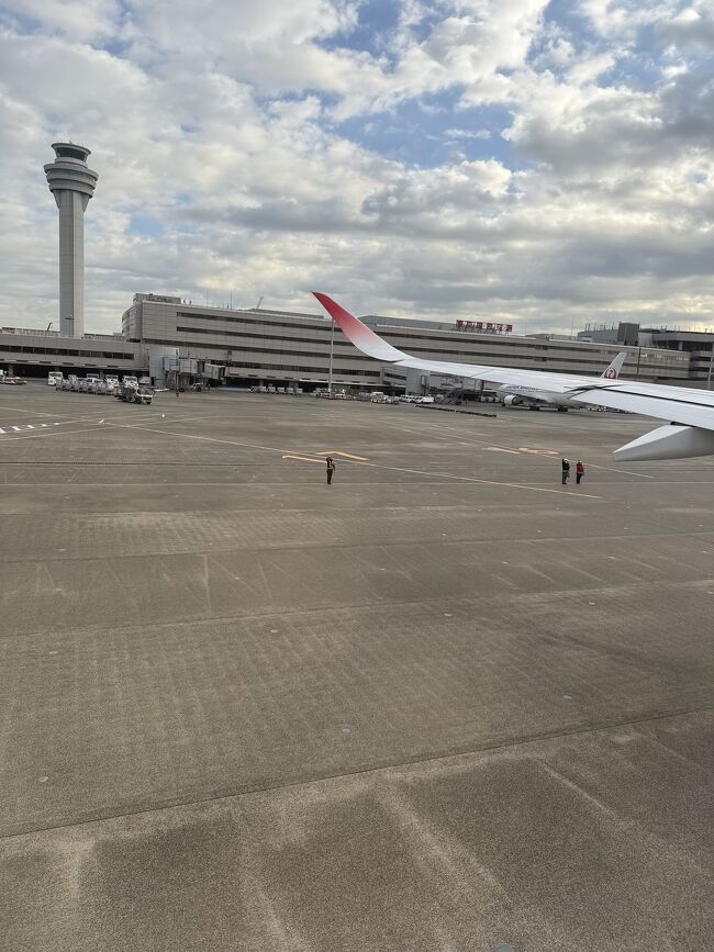 お手振りは精鋭が3名でした。<br />思い切り手を振ったら、お辞儀もいただけました。<br />今回はわけあって、<br />ノーショー事件も知ったので、<br />機内持ち込みサイズのスーツケースとリュックで、<br />預け荷物ではないんですが。<br />今回負担軽減に努めました。