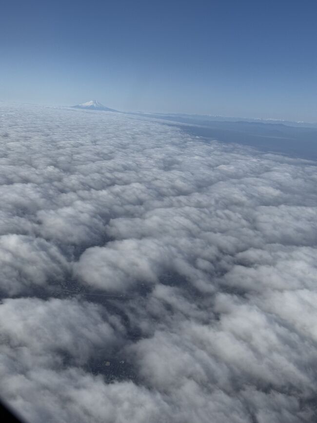 低い雲が垂れ込んでいて、スカイツリーすら見えなかったのですが、<br />さすがは富士山です。<br />しっかり見ることができました。