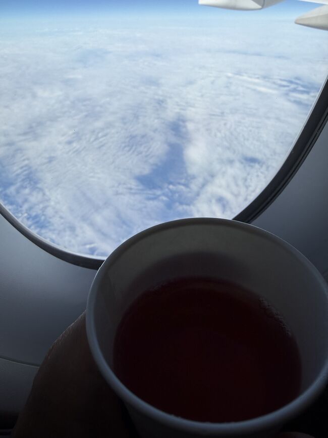 アサヒビールのサイバー攻撃の影響で、<br />夏から提供を休止していたとのスカイタイムがついに復活したそうです。