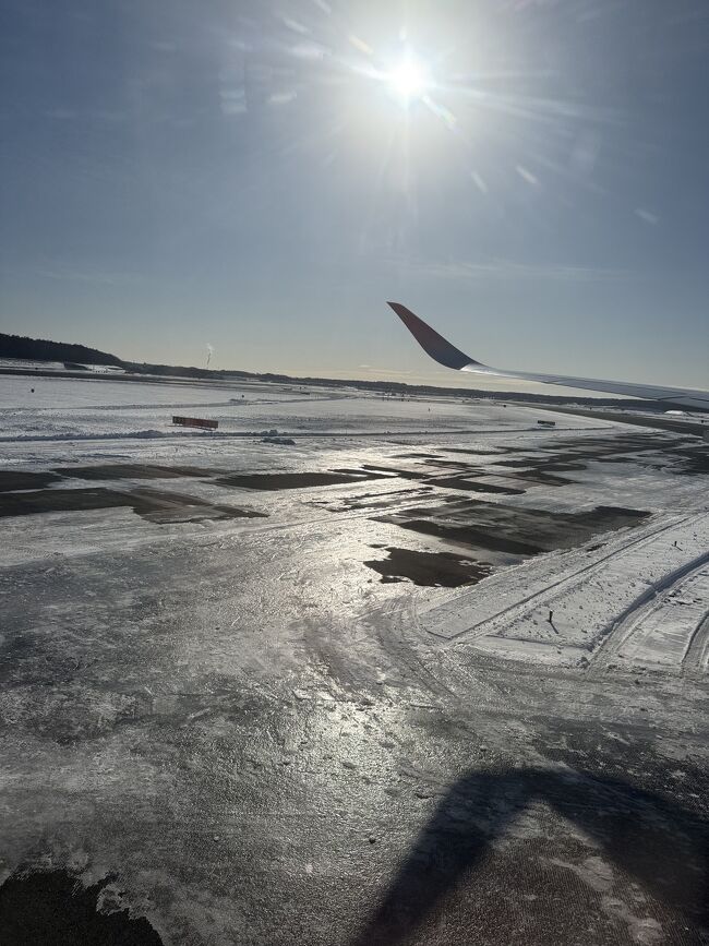 新千歳空港は雪もありました。