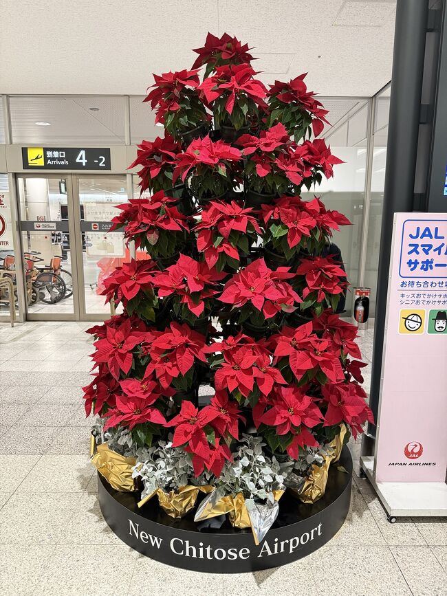 到着口から出てすぐにツリーがありました。<br />では、買い物タイムです。<br />預け荷物が無いので、到着ロビーもスムースです。<br />これも計画通りです。<br />急いで2階の出発ロビーに戻ります。