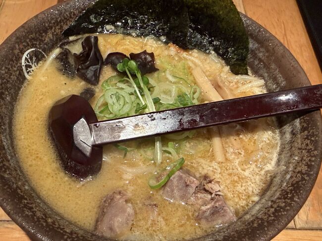 これが味噌ラーメンです。<br />ピリ辛なのと背油が特長です。<br />提供は早かったのでうれしかったです。<br />ごちそうさまでした。<br />では、円山動物園に向かいます。