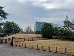 一度は足を踏み入れたい。広そう、寒そう、、

先日参加した講演会で、朝鮮五葉があると聞いたので、どの程度の松の実ができてるのか、確かめてみたい

韓国教育財団主催
植物とのかかわりからみる朝鮮王朝の歴史
辻大和教授。面白かったな！