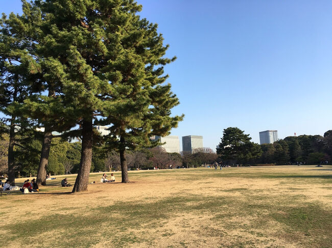 謎解きイベントは幾つかのチェックポイントでNFCタグ対応スマホで参加するものでした。<br />当時持っていたスマホはNFCタグ非対応でしたが、QRコードによる参加もできました。<br />イベントを進めることによって、東御苑についていろいろ学ぶことができました。<br />