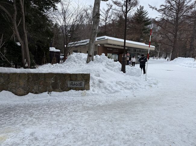 くらまる号というバスに乗れば動物園の前で降りられたのですが、<br />すでに出発済みでした。<br />待っている時間が勿体ないので、<br />雪道を歩くことにします。<br />