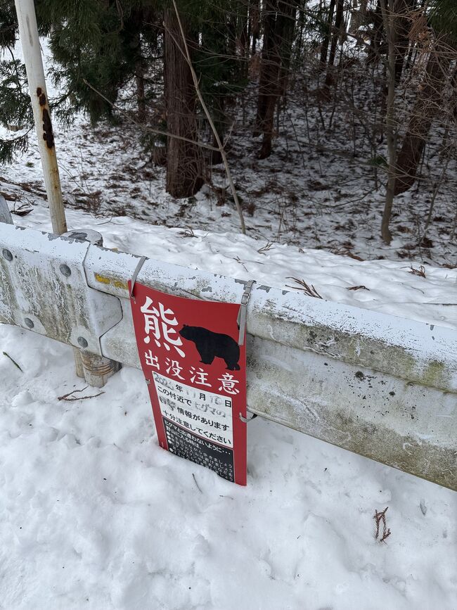 今年話題のクマが出たようです。