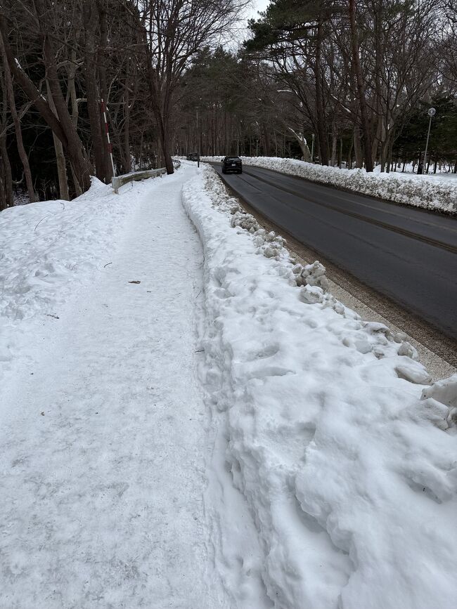 ここを登っていきます。<br />ほとんどトレッキングです。