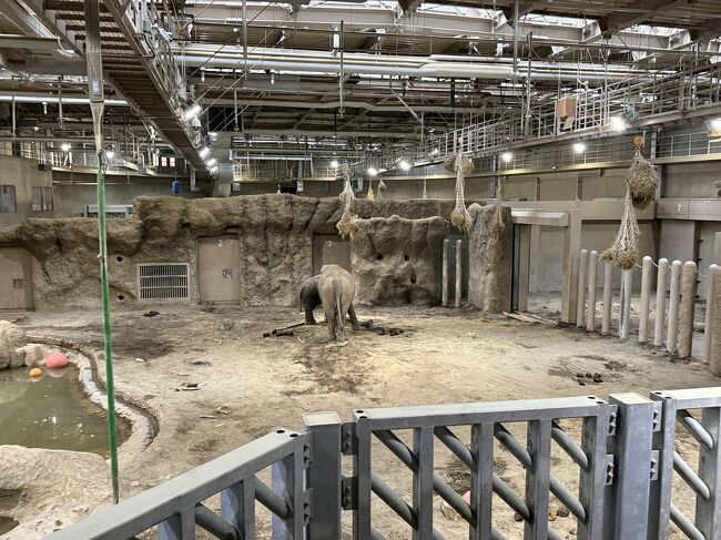 冬は屋内のみの展示です。