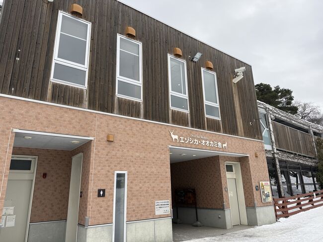 オオカミを見ます。