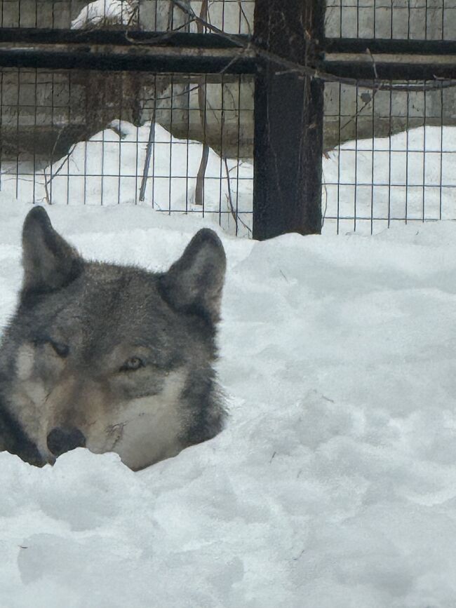 うれしそうでした。