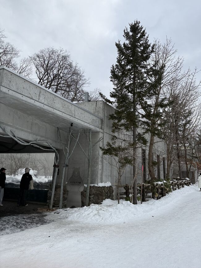 この秋に大注目されていたクマです。