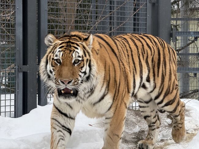 こちらをよく見てくれます。