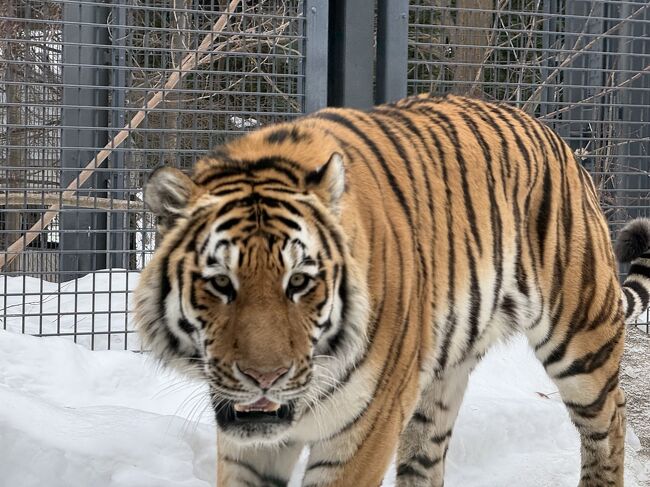 もう毎年来ているので、<br />覚えてくれたらうれしいです。