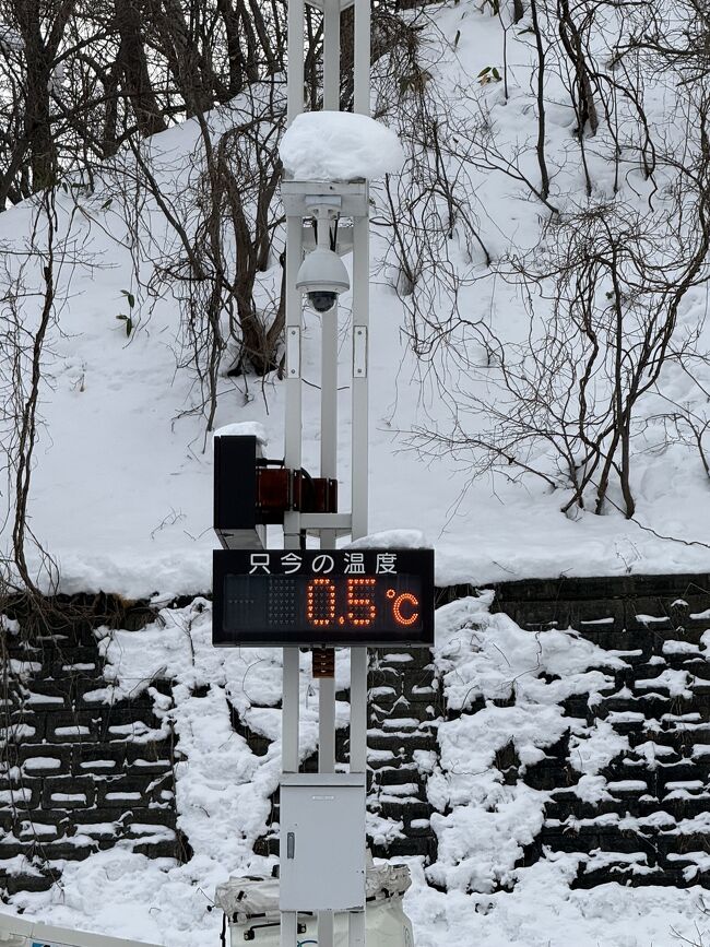 辛うじてプラス気温です。