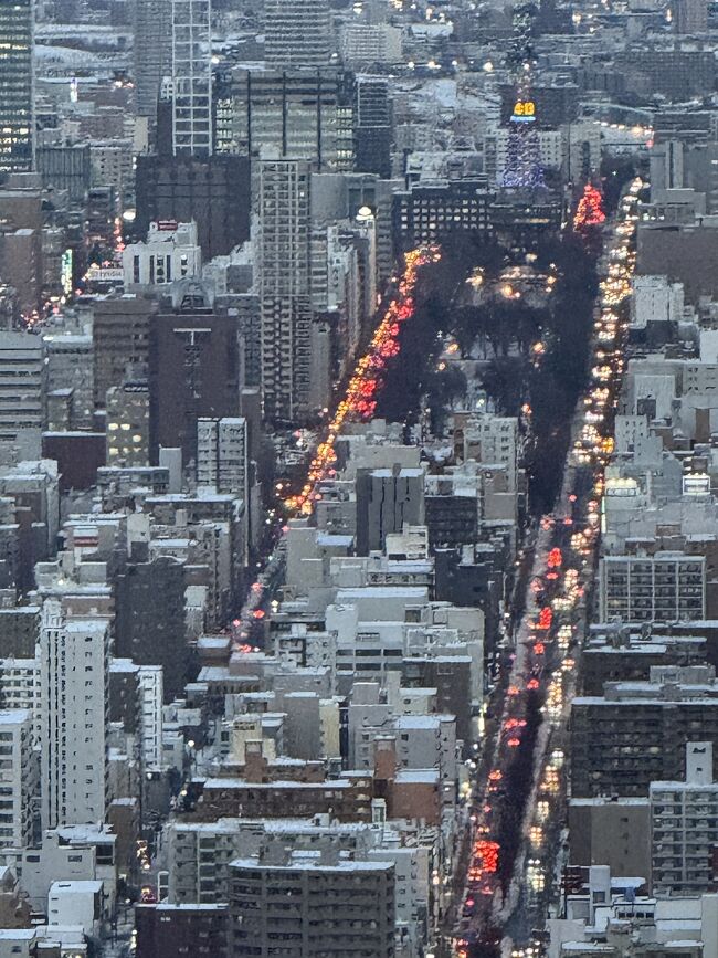 大通り公園が見えます。<br />ここに向かってジャンプするような印象です。<br />飛行場の誘導灯のようです。