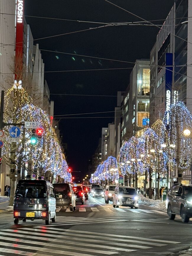 パルコ付近です。<br />長さ300ｍものイルミの道が続いています。<br />柳のように見えますが、実はイチョウです。<br />流れ落ちるイルミの仕様になっています。<br />もっともっと生長するといいですね。