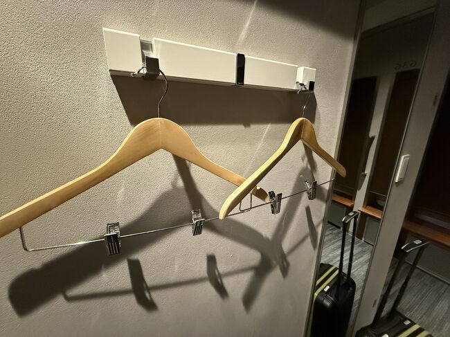 ハンガーは2本で、かなり細いので重いものは無理かも。