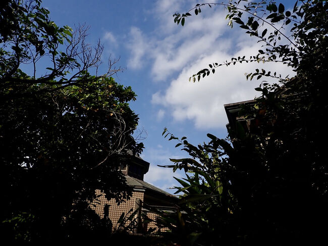 空は垂れこめていた雲が通り過ぎて、青い空が広がっています。<br />けれども北風で肌寒いです。