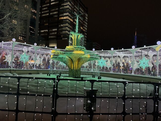 雪のホワイトイルミは北海道ならではです。<br />本当は雪が降っているのが理想でした。