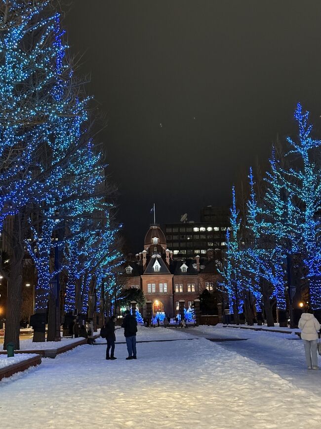 道庁赤レンガ庁舎を背景にブルーライトのイルミが幻想的な空間を生み出しています。